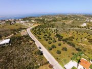 Chorafakia Chania Olivenbäume und Meerblick - in der Nähe von Stränden Grundstück kaufen